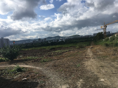 Google Maps image 26