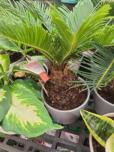 Department Store «Walmart Supercenter», reviews and photos, 7500 US-209, Napanoch, NY 12458, USA