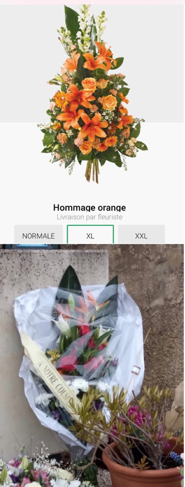 Photo n° 1 de l'avis de Maloue. fait le 10/02/2021 à 10:02