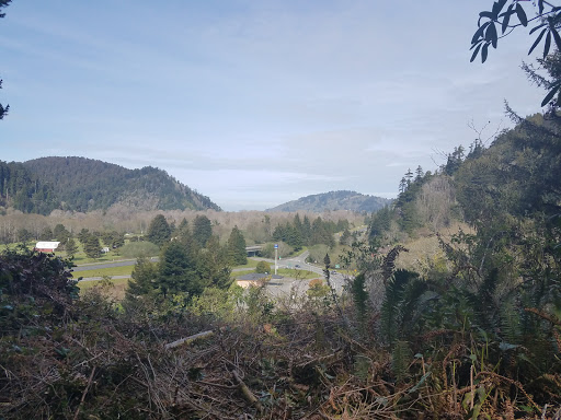 Tourist Attraction «Klamath Tour Thru Tree», reviews and photos, 430 California 169, Klamath, CA 95548, USA