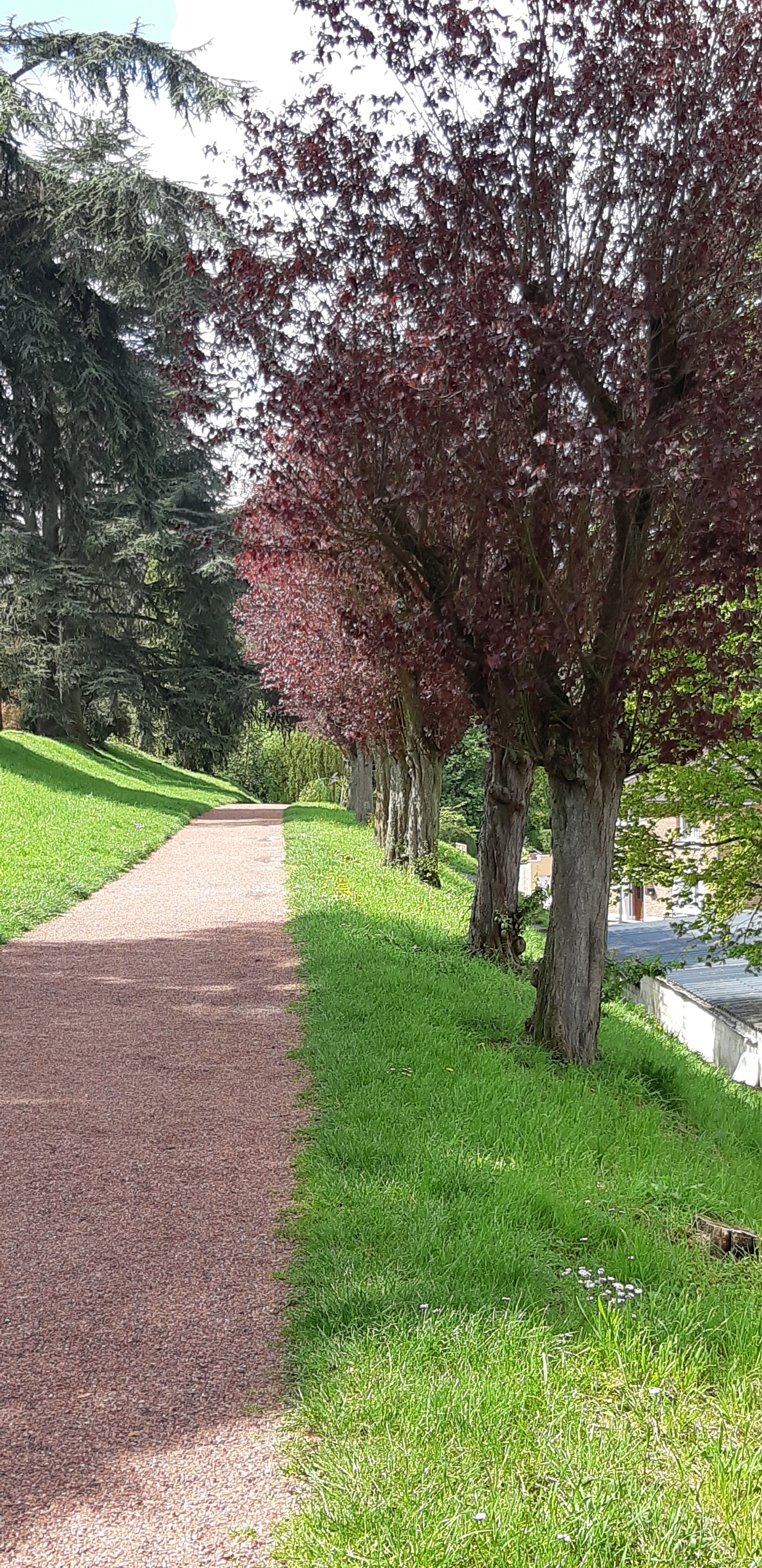 Photo n° 1 de l'avis de Boule62. fait le 30/04/2019 à 10:59