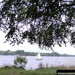 Photo n°4 de l'avis de QQFL.a fait le 29/05/2021 à 10:54 sur le  Alsterperle à Hamburg