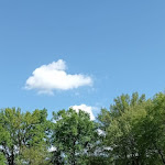 Photo n°5 de l'avis de Adamo.e fait le 24/04/2022 à 08:36 sur le  PUNTOLAGO Ristorante,Pinseria,Braceria,sosta camper à San Giovanni Incarico