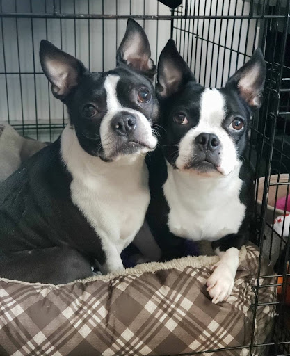 Tattoo Shop «Powerline Tattoo», reviews and photos, 708 Reservoir Ave, Cranston, RI 02910, USA