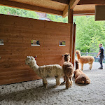 Photo n°3 de l'avis de Asia.a fait le 05/05/2024 à 17:40 sur le  Agriturismo Scuderia Della Valle à Sant'Omobono Terme