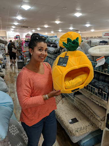 Department Store «HomeGoods», reviews and photos, 664 New Loudon Rd, Latham, NY 12110, USA