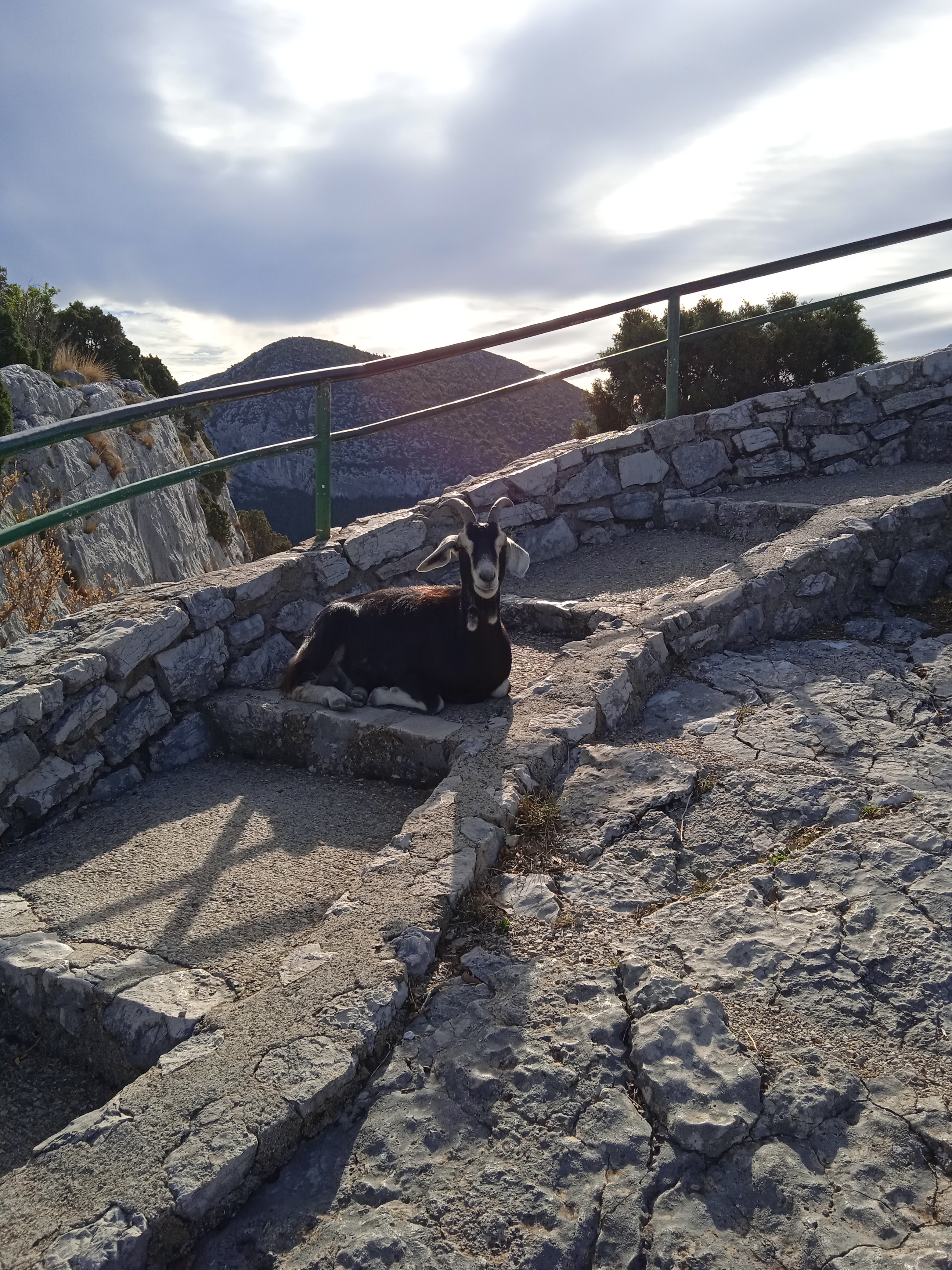 Photo n° 1 de l'avis de Uschi.a fait le 20/09/2022 à 18:27