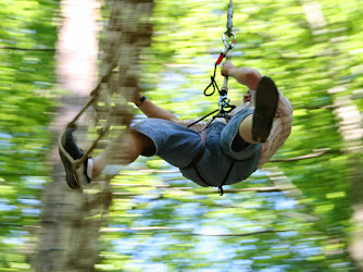 Waldkletterpark Bad Neuenahr