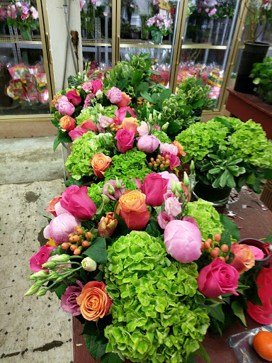 Florist «Exotic Flowers», reviews and photos, 609 American Legion Hwy, Boston, MA 02131, USA