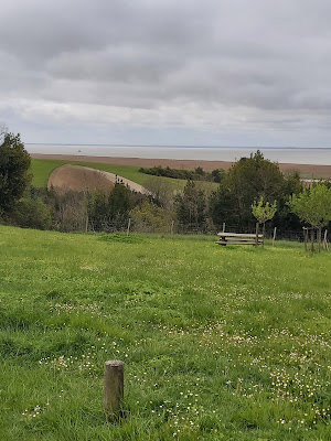 Balcon de l'estuaire près de Chenac à Chenac-Saint-Seurin-d'Uzet