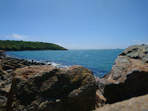 Photo n°12 de Port du Crouesty à Arzon ()