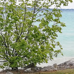 Photo n°6 de l'avis de Stefania.e fait le 20/06/2022 à 13:31 sur le  Hotel Suisse à Sirmione