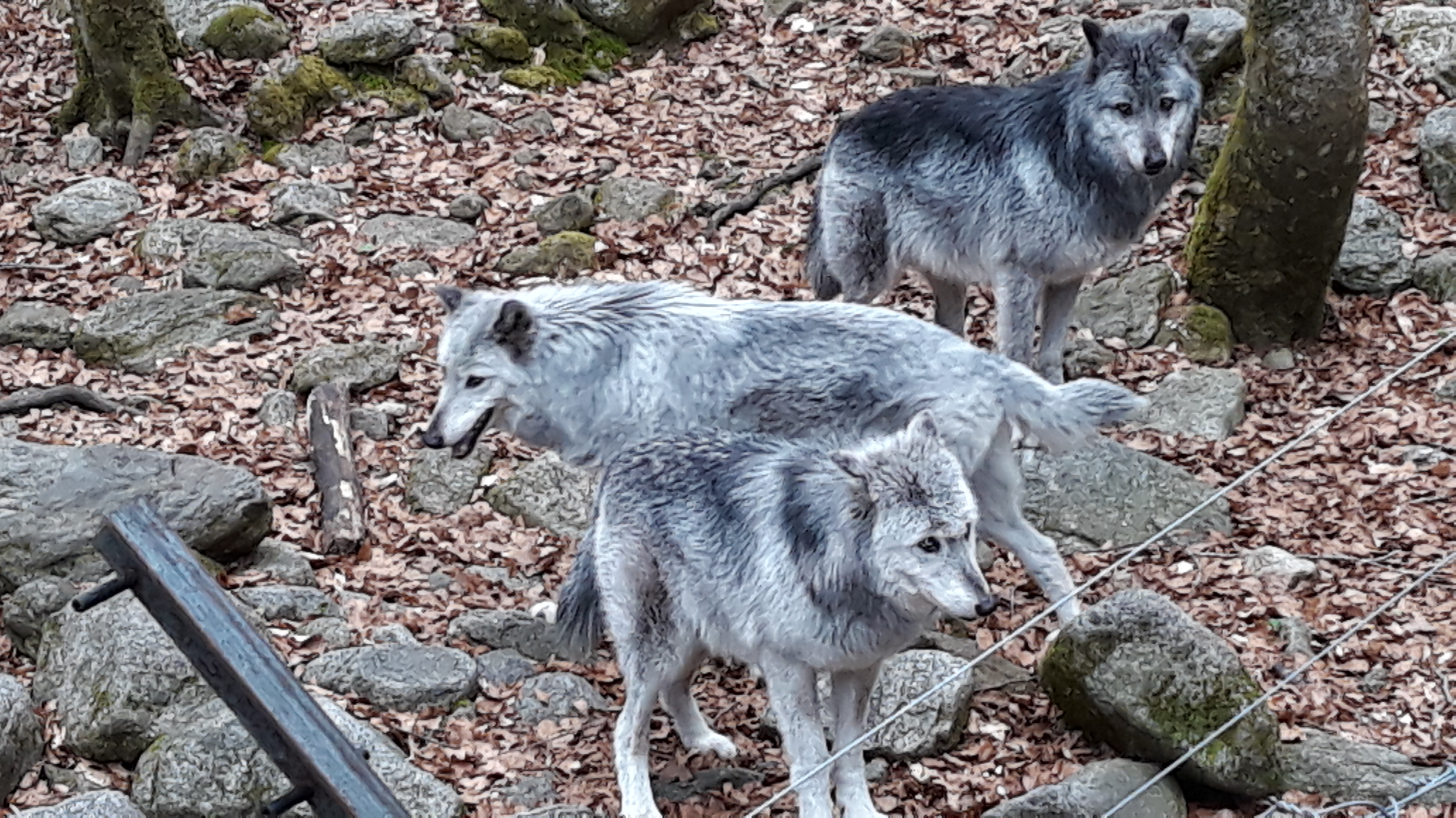Photo n° 14 de l'avis de Anne.a fait le 24/04/2019 à 15:11