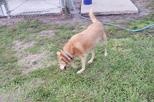 Carolyn Meeker Dog Park