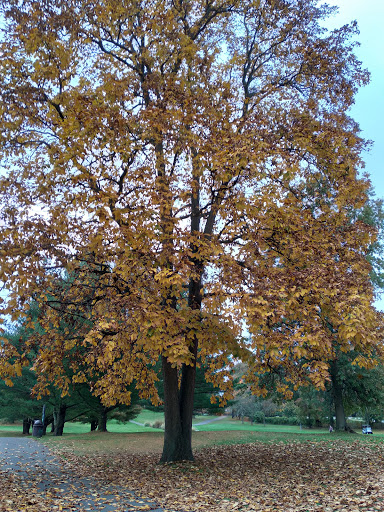 Golf Course «Saxon Woods Golf Course», reviews and photos, 315 Mamaroneck Rd, Scarsdale, NY 10583, USA