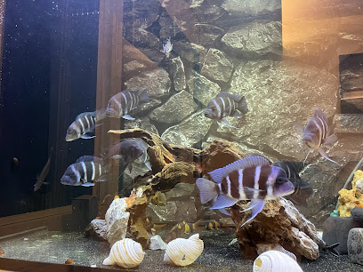 珠寶水族 Jewel Aquarium