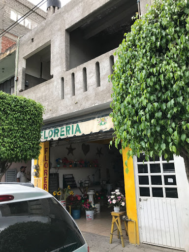 Florería Arte y Diseño – Romita