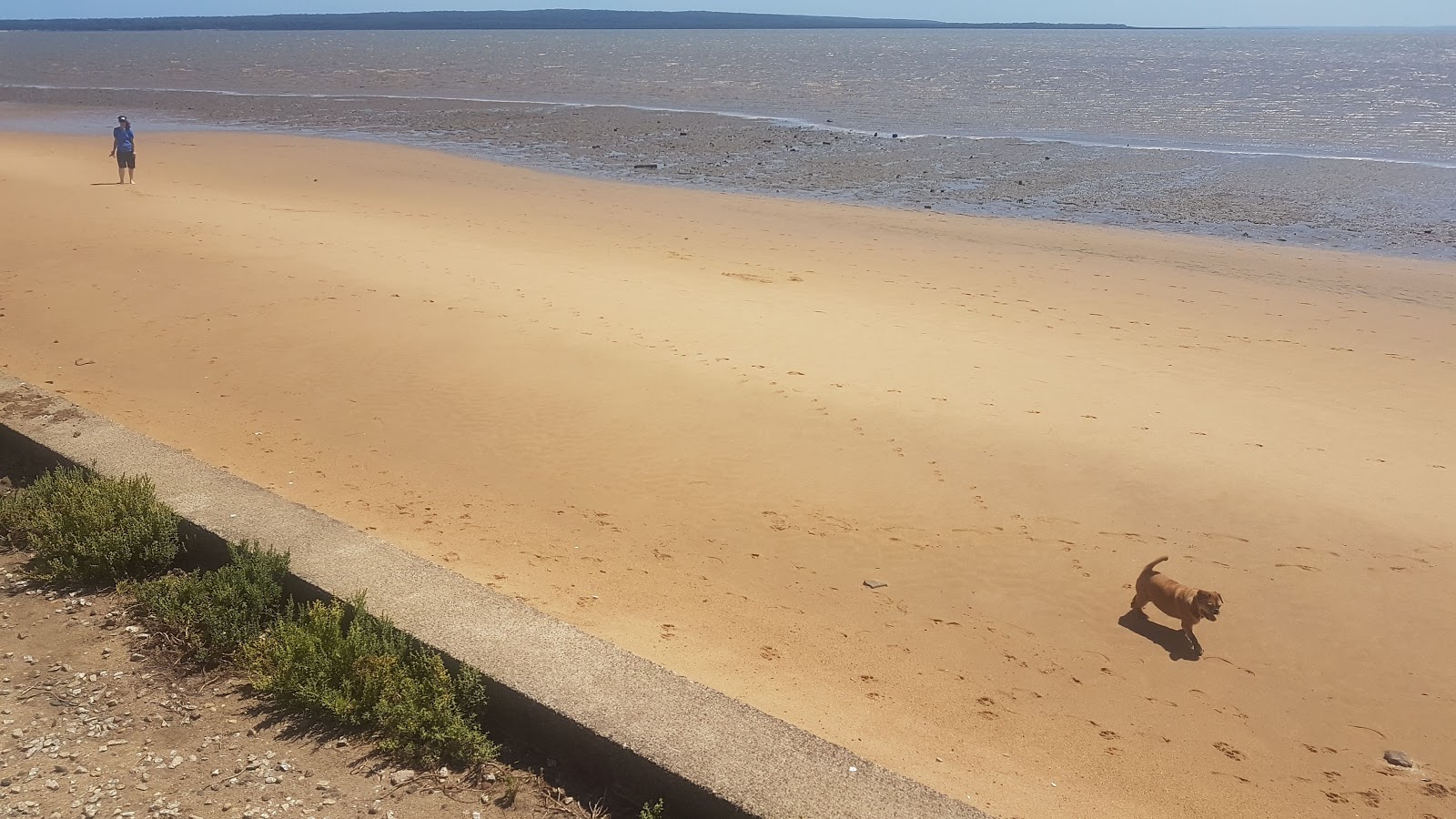 Lang Lang Beach photo #7