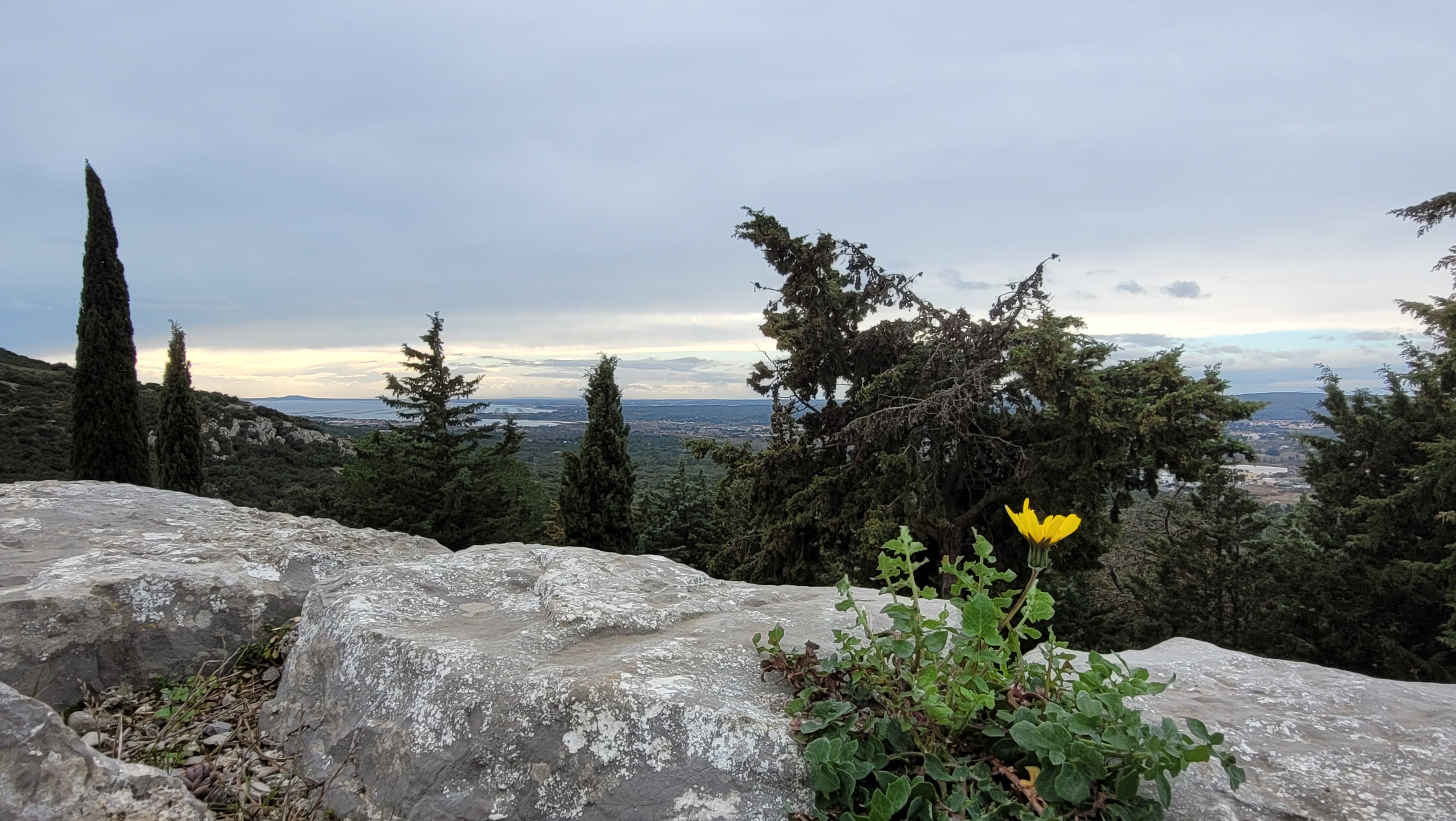 Photo n° 5 de l'avis de Sylvain.e fait le 14/02/2022 à 18:20