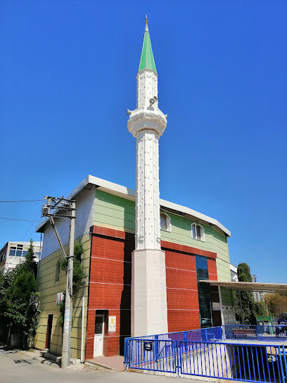 Dokuz Eylül Camii