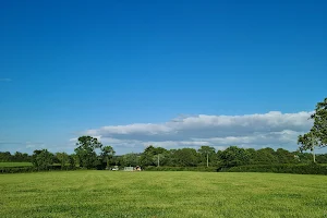 Holme Meadow image