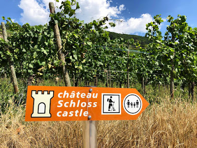 Château du Schlossberg à Kaysersberg