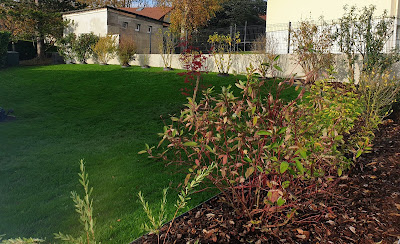L'art des 1001 jardins à Épinal