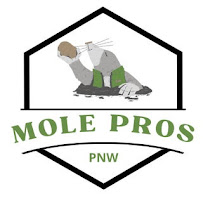 The Mole Pros - Photo 7 - Car repair in Stanwood, WA, Marysville
