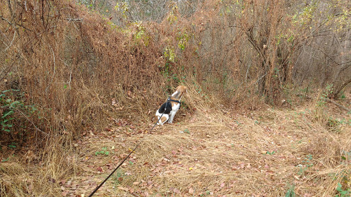 State Park «Swatara State Park», reviews and photos, 1450 Suedberg Rd, Pine Grove, PA 17963, USA