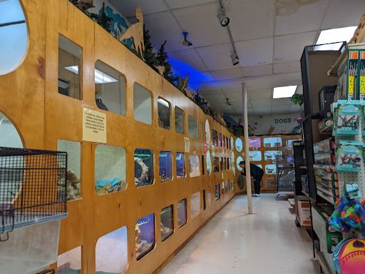 Pet Store «Forever Pets Inc», reviews and photos, 1030 Basse Rd, San Antonio, TX 78212, USA