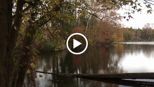 Golf Course «Pine Ridge Golf Course», reviews and photos, 2101 Dulaney Valley Road, Lutherville, MD 21093, USA