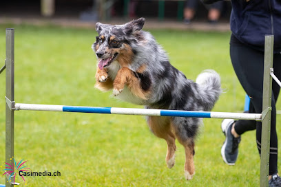 Hundeschule activ Paw