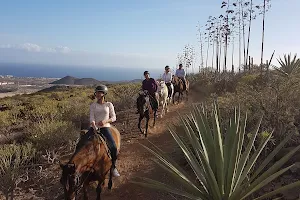 Horse Riding Adventures in Tenerife image