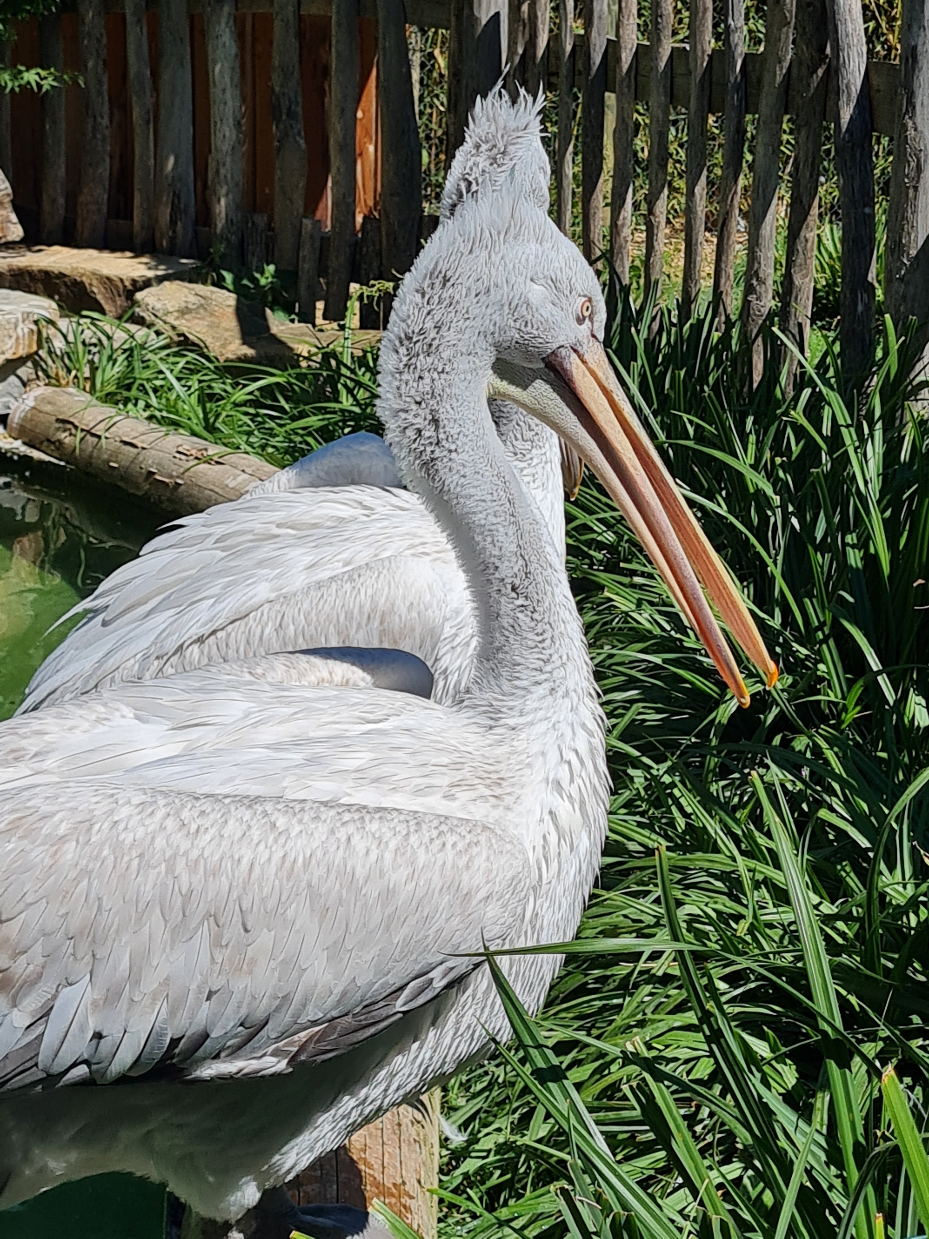 Photo n° 1 de l'avis de Marjo.e fait le 29/08/2021 à 18:20