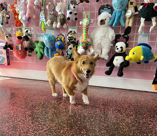 Woof Gang Bakery & Grooming Yamato