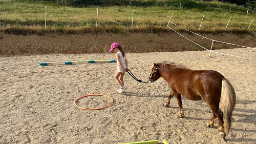 Centre équestre Ecole des poneys joyeux Meilhan-sur-Garonne