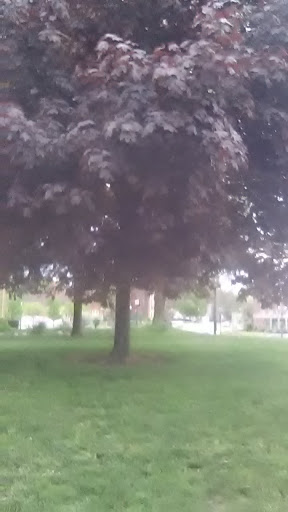 Hardware Store «West Hill Hardware Store», reviews and photos, 335 W Market St, Akron, OH 44303, USA