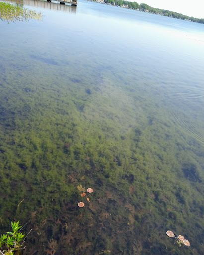 Park «Lakeview Park», reviews and photos, 9345 Portage Rd, Portage, MI 49002, USA