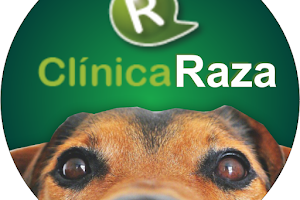 Raza Clinic - Santa Isabel image