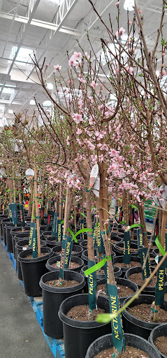 Warehouse store «Costco Wholesale», reviews and photos, 1001 Metro Center Blvd, Foster City, CA 94404, USA