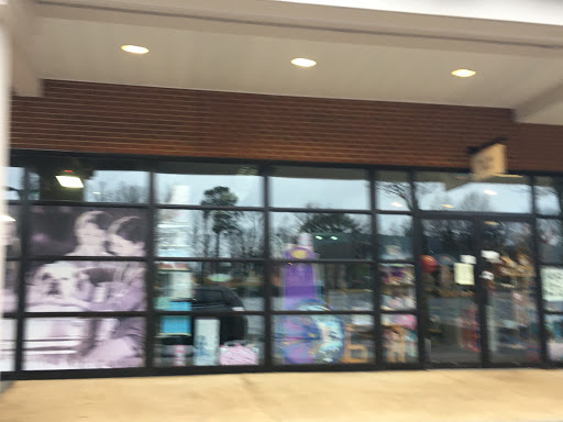 Toy Store «Toys That Teach», reviews and photos, 3038 Stony Point Rd, Richmond, VA 23235, USA
