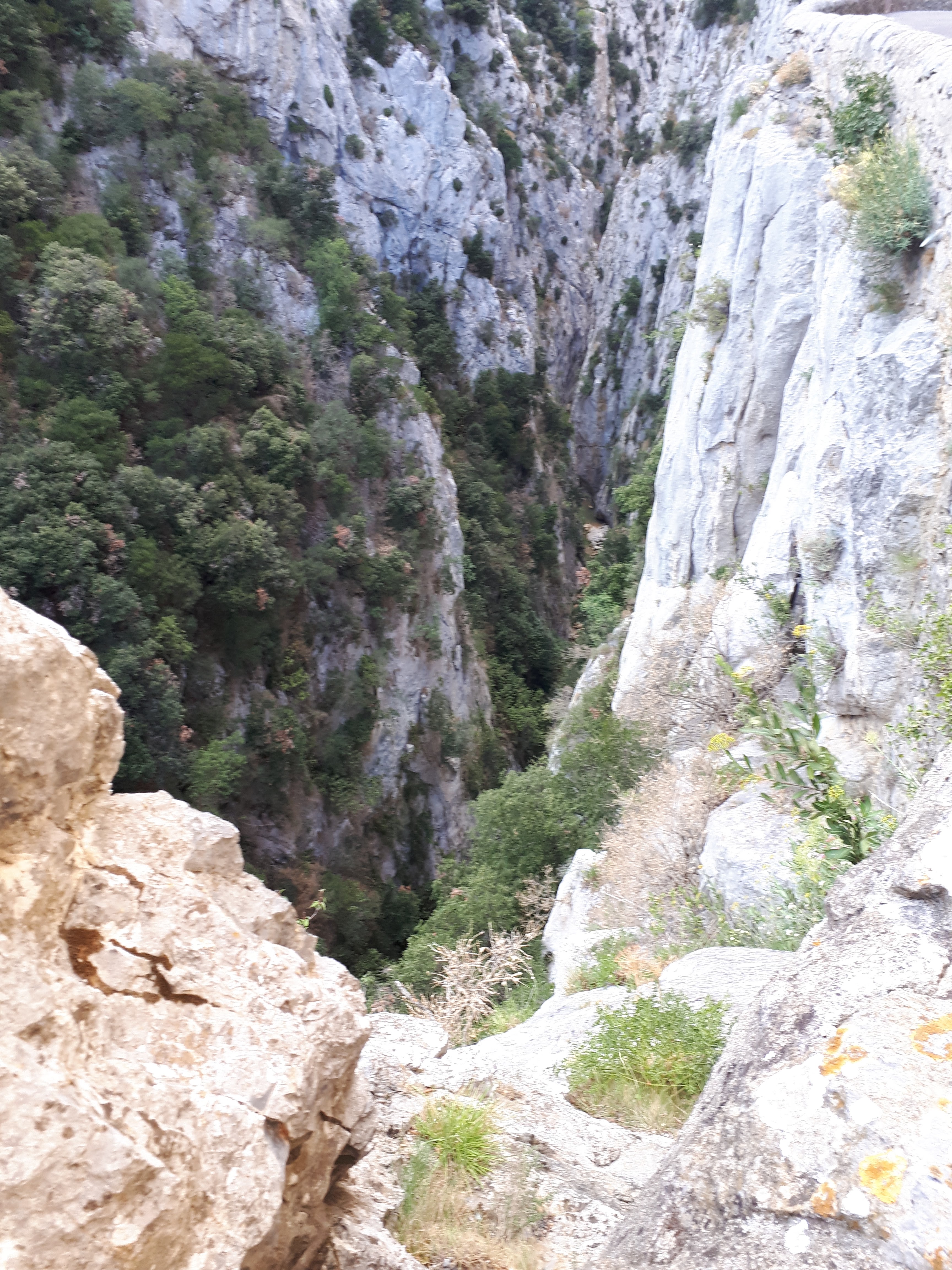 Photo n° 1 de l'avis de Pascal.e fait le 13/08/2019 à 20:34