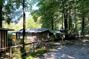 Campingplatz Fohnsee image