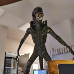 Photo n°4 de l'avis de Rossana.i fait le 11/04/2019 à 22:26 sur le  Movie Restaurant à Rome