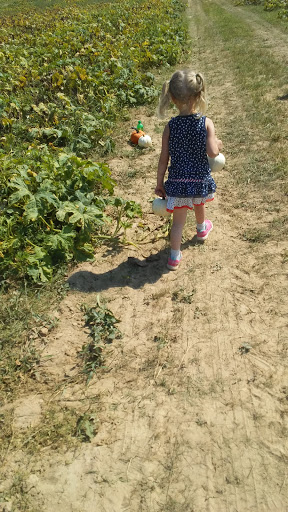 Tourist Attraction «Sugar Hill U-pick Farms», reviews and photos, 3595 Co Rd 59, Verbena, AL 36091, USA