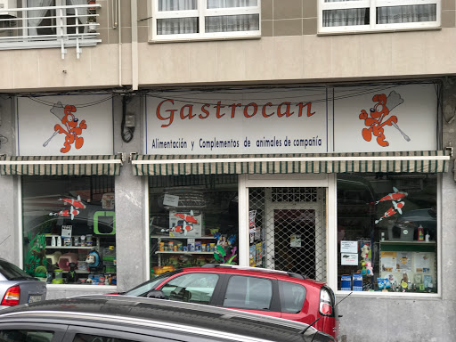 Gastrocan en Portugalete, Vizcaya