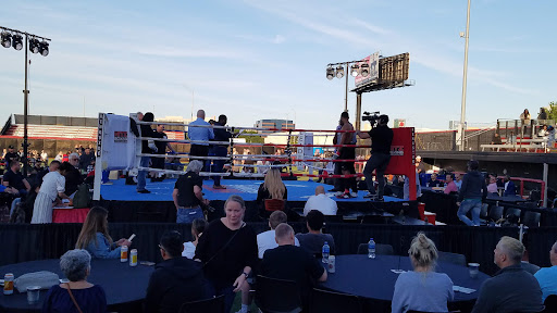 Stadium «The Ballpark at Rosemont», reviews and photos, 27 Jennie Finch Way, Rosemont, IL 60018, USA