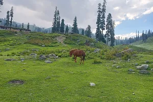 Dubjan Spring image