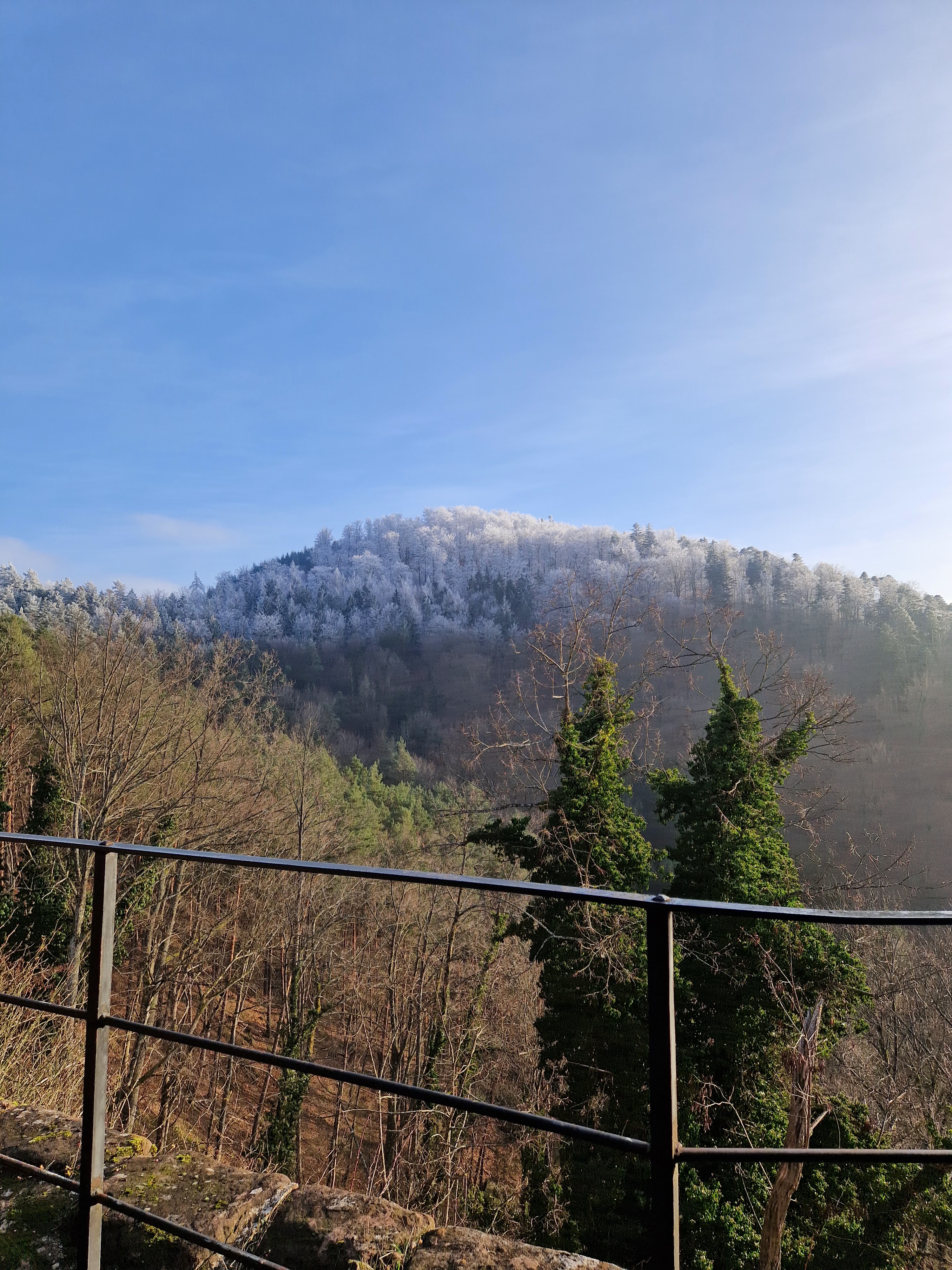 Photo n° 7 de l'avis de Beno. fait le 14/01/2024 à 20:33