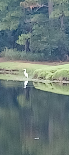 Golf Club «True Blue Golf Plantation», reviews and photos, 900 Blue Stem Dr, Pawleys Island, SC 29585, USA